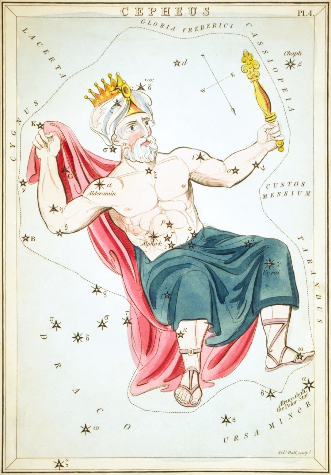 Cepheus, Sidney Hall