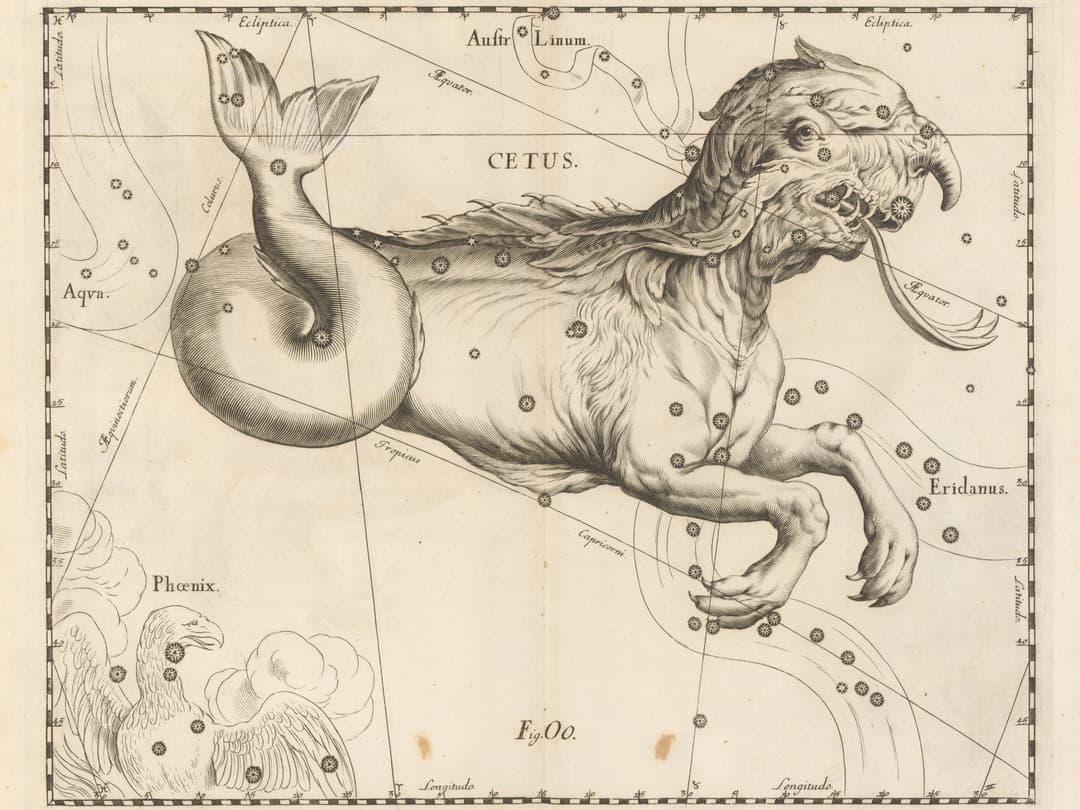 Cetus, the Sea Monster, Johannes Hevelius
