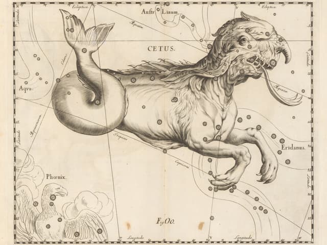 Cetus, the Sea Monster, Johannes Hevelius